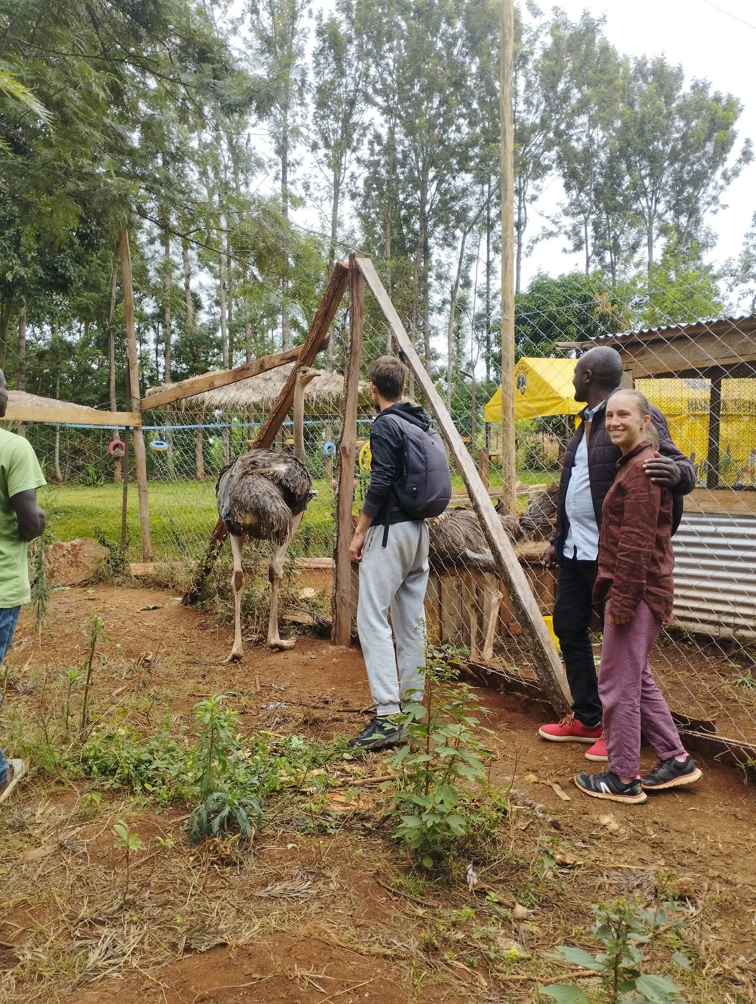 Visitors enjoying the farm