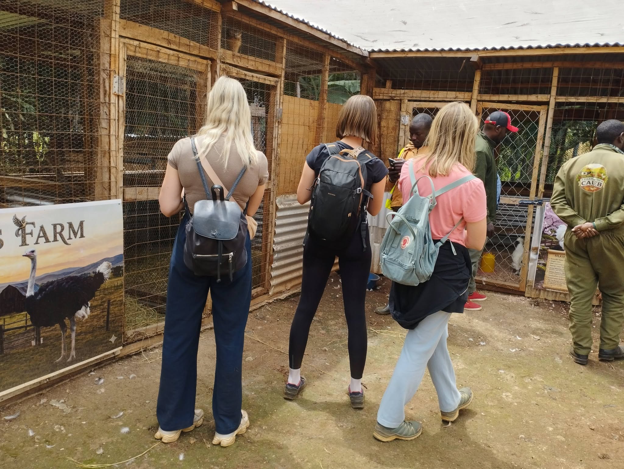 Touring the bird enclosures